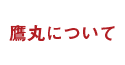 鷹丸について