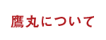 鷹丸について