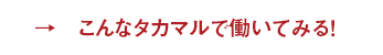 こんなタカマルで働いてみる！