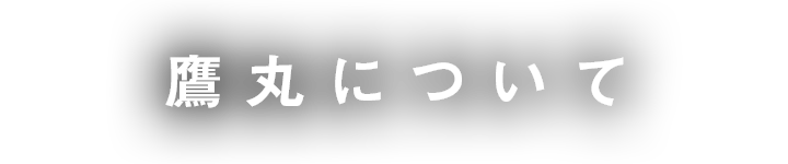 鷹丸について