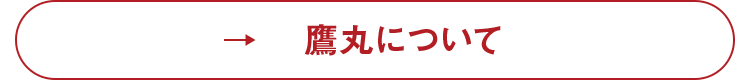 鷹丸について